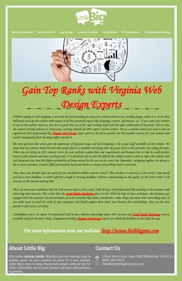Gain Top Ranks with Virginia Web Design Experts