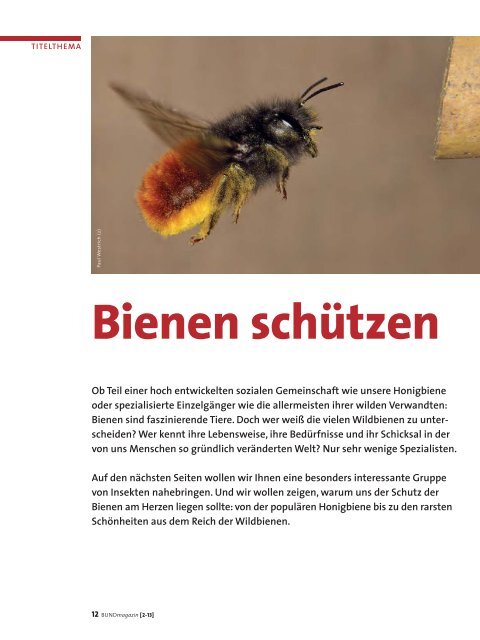 Titelthema Bund