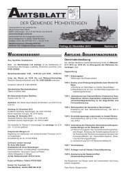 KW 47/2013 - Hohentengen