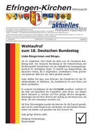 Wahlaufruf zum 18. Deutschen Bundestag - Gemeinde Efringen ...