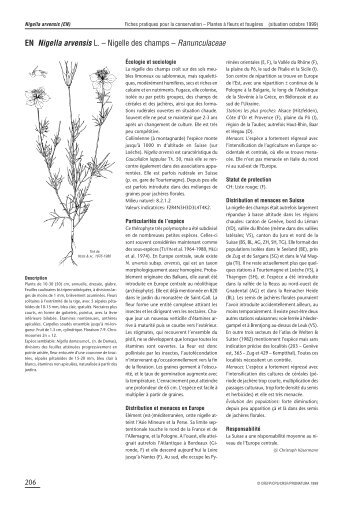 EN Nigella arvensis L. â Nigelle des champs ... - Info Flora