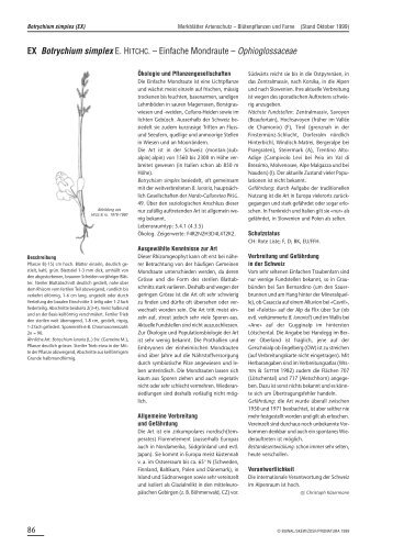 EX Botrychium simplex E. HITCHC. â Einfache ... - Info Flora