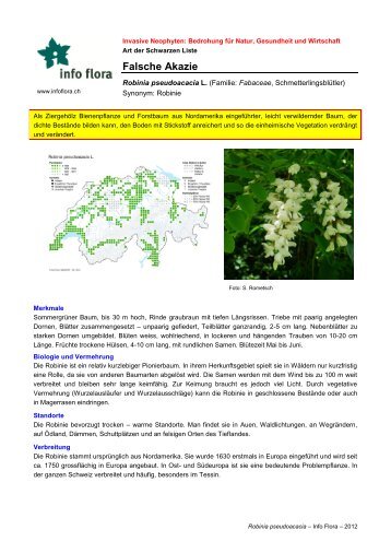 Robinia pseudoacacia - Info Flora