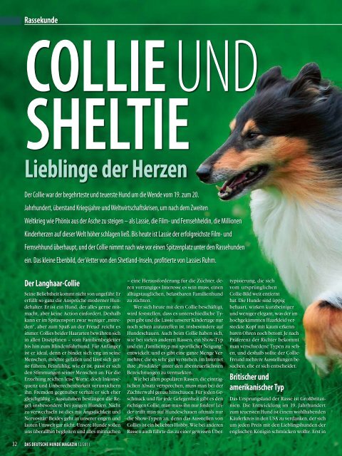 RasseportrÃ¤t Collie und Sheltie Deutsches ... - Infohund