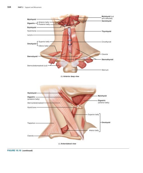 Sample Chapter 10 from the Textbook (35559.0K) - McGraw-Hill