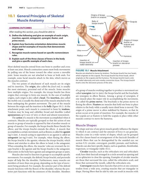 Sample Chapter 10 from the Textbook (35559.0K) - McGraw-Hill