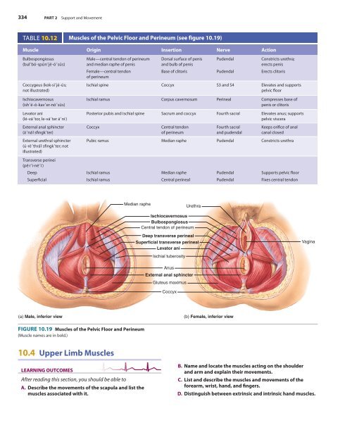 Sample Chapter 10 from the Textbook (35559.0K) - McGraw-Hill