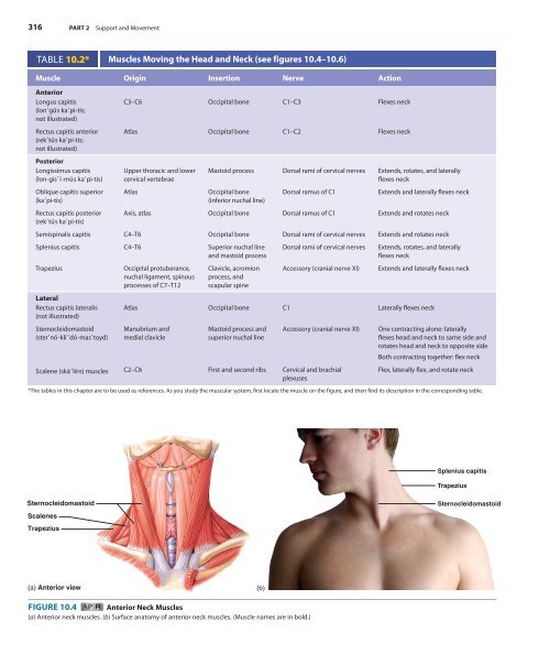 Sample Chapter 10 from the Textbook (35559.0K) - McGraw-Hill