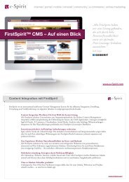 Video Integration With Firstspirit E Spirit Ag