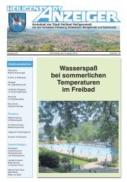 Stadtanzeiger 2013-16 - Heilbad Heiligenstadt