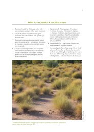 mvg 20—hummock grasslands - Department of the Environment