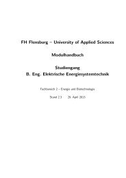 Modulhandbuch als pdf - Fachhochschule Flensburg