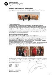 Angebot «Das begehbare Darmmodell» - Krebsliga Schweiz