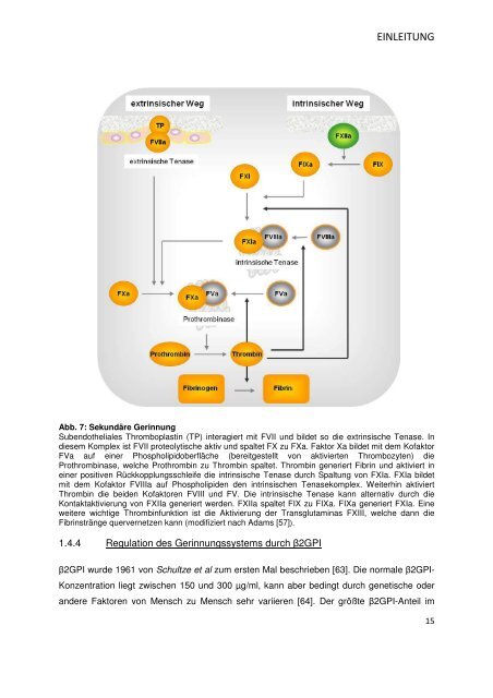 Bibliothek.pdf