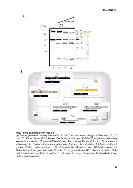 Bibliothek.pdf