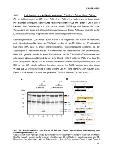 Bibliothek.pdf