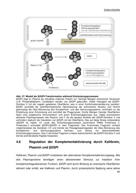 Bibliothek.pdf