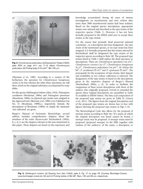 Designation of type strains for seven species of the order ...