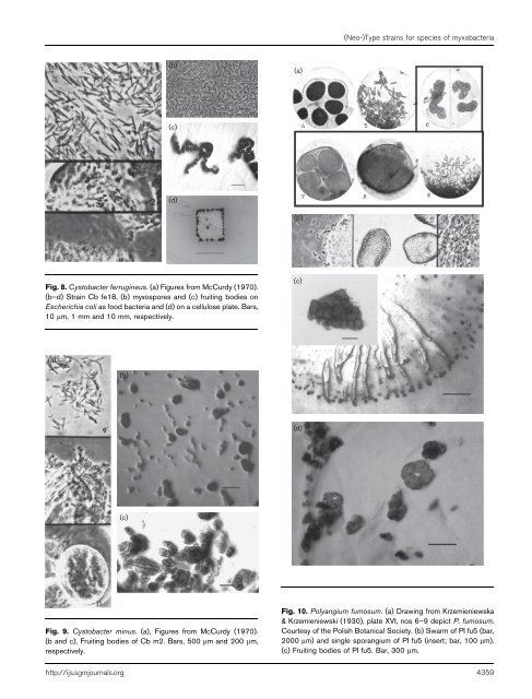 Designation of type strains for seven species of the order ...