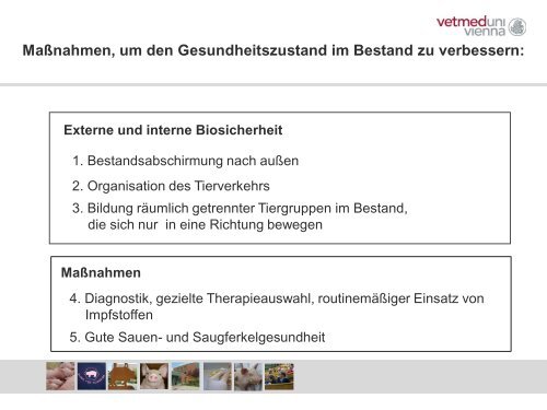 Schweinefachtag 2014 Vortrag Dr. Hennig-Pauka Vetmed