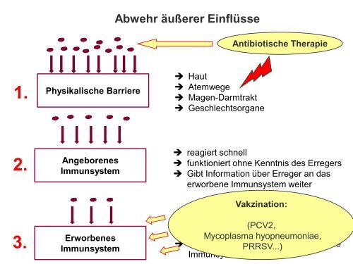 Schweinefachtag 2014 Vortrag Dr. Hennig-Pauka Vetmed