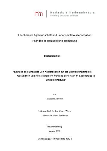 Vorlage für Haus_Seminar_B_D_M_Thesis - Hochschule ...