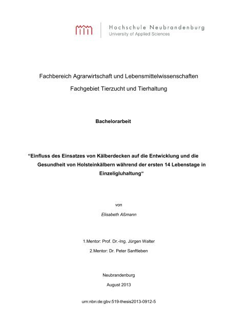 Vorlage für Haus_Seminar_B_D_M_Thesis - Hochschule ...