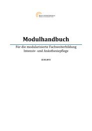 Modulhandbuch - Hanse Institut Oldenburg