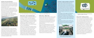 Faltblatt "Aquakultur – eine gute Alternative?" herunterladen - Bund
