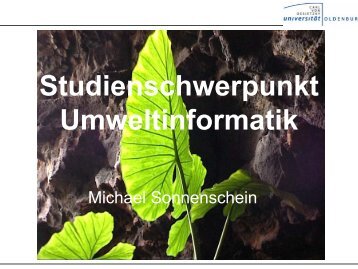 Studienschwerpunkt Umweltinformatik