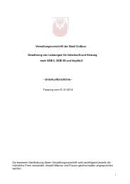 Verwaltungsvorschrift der Stadt Cottbus Gewährung von Leistungen ...