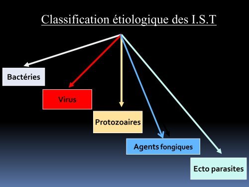 4Fellation- Dr Borsa-Lebas