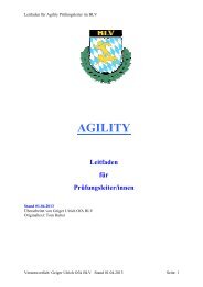 Leitfaden PL Agility - Der BLV