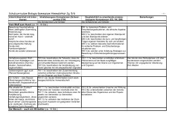 Schulcurriculum Jahrgang 5 und 6 im Detail - Gymnasium ...