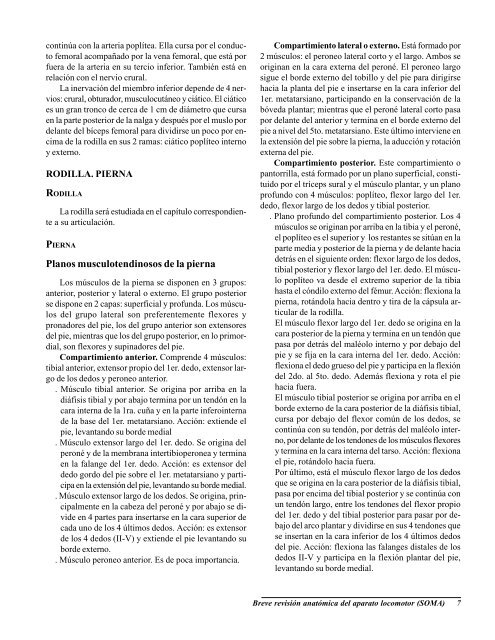 Ecografia del Aparato Locomotor.pdf