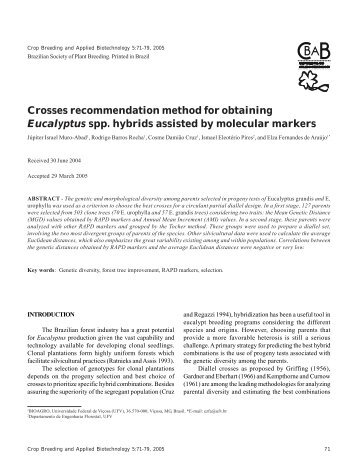 Crosses recommendation method for obtaining Eucalyptus spp ...