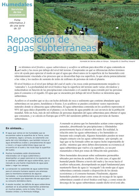 Reposición de aguas subterráneas