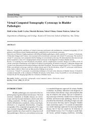 Virtual Computed Tomography Cystoscopy in Bladder Pathologies