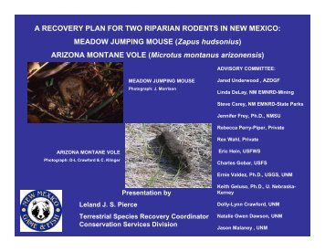 A RECOVERY PLAN FOR TWO RIPARIAN RODENTS IN NEW ...