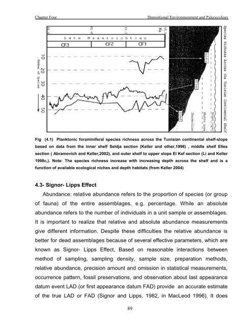 biostratigraphy and paleoecology of cretaceous/tertiary boundary in ...