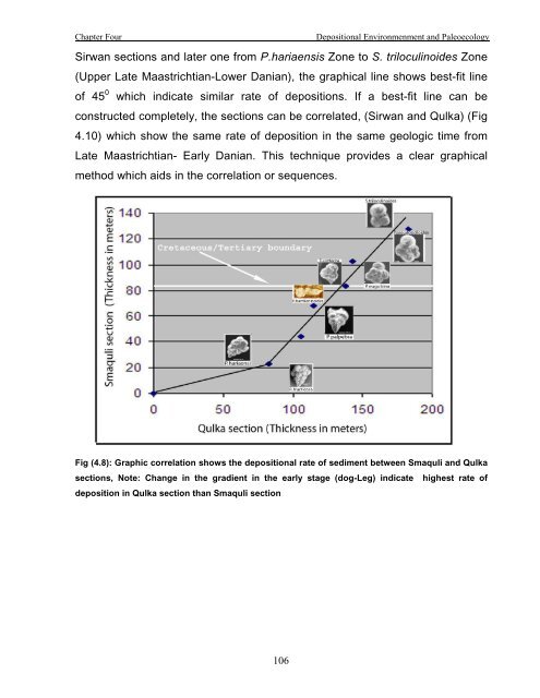 biostratigraphy and paleoecology of cretaceous/tertiary boundary in ...