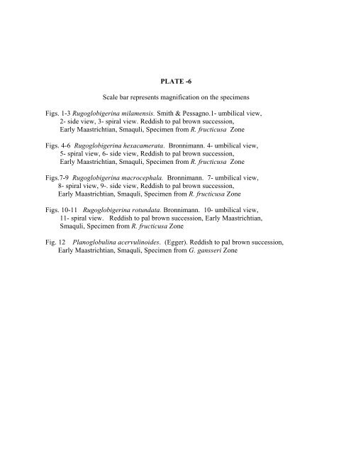 biostratigraphy and paleoecology of cretaceous/tertiary boundary in ...