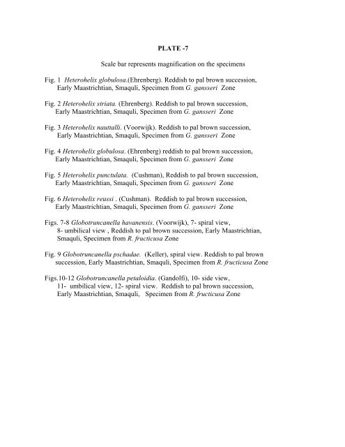 biostratigraphy and paleoecology of cretaceous/tertiary boundary in ...