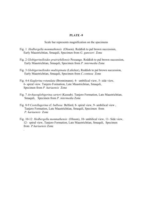 biostratigraphy and paleoecology of cretaceous/tertiary boundary in ...