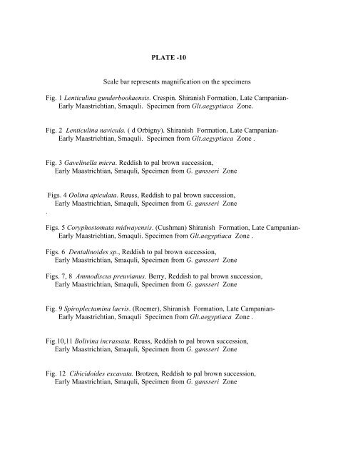 biostratigraphy and paleoecology of cretaceous/tertiary boundary in ...