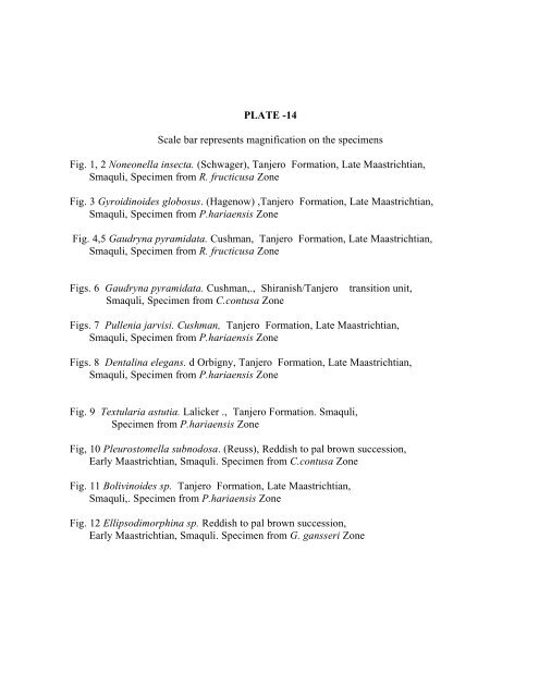 biostratigraphy and paleoecology of cretaceous/tertiary boundary in ...