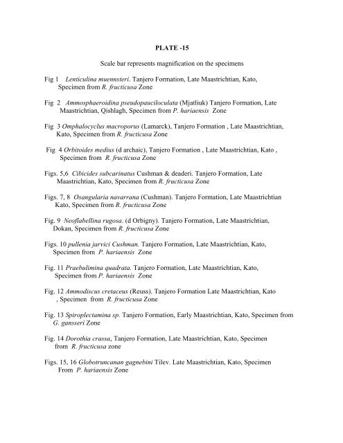 biostratigraphy and paleoecology of cretaceous/tertiary boundary in ...