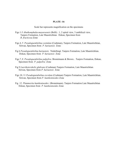 biostratigraphy and paleoecology of cretaceous/tertiary boundary in ...