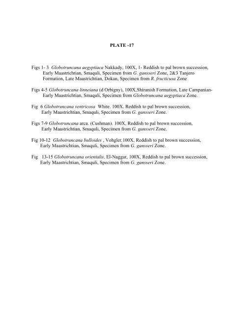 biostratigraphy and paleoecology of cretaceous/tertiary boundary in ...