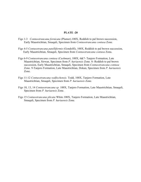 biostratigraphy and paleoecology of cretaceous/tertiary boundary in ...